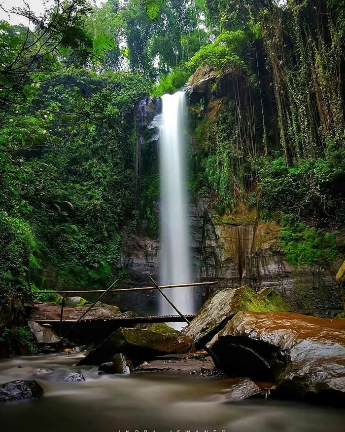 Air Terjun Coban Ringin Gantung Malang