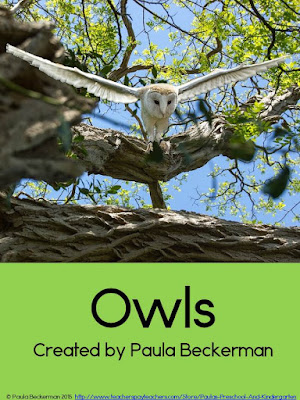 https://www.teacherspayteachers.com/Product/Owls-2071310