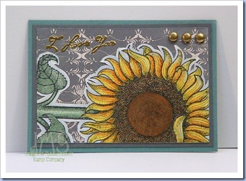 Sunflower ATC-JMS