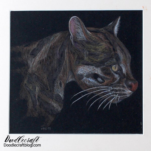 I liked how this colored pencil puma turned out.    I think I like the black paper and the medium of colored pencils.