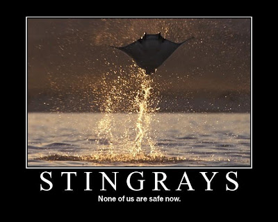 flying stingrays poster