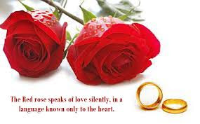   Latest HD Rose Day Quote IMAGES Pics, wallpapers free download 41