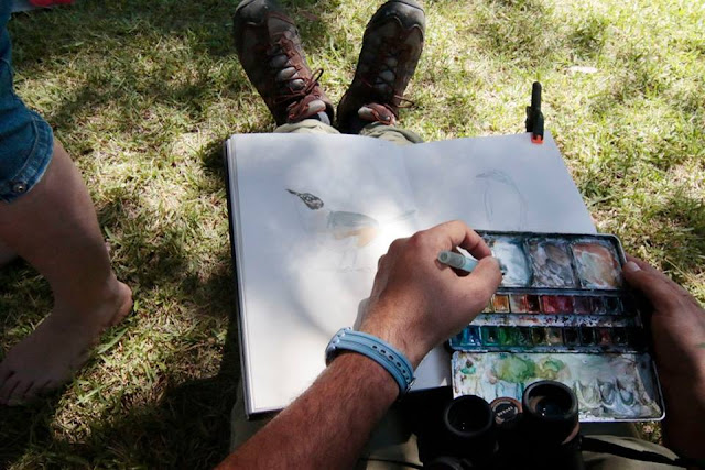 taller de ilustración científica y pintura naturalista en Sierra de Andújar, Diego Ortega Alonso