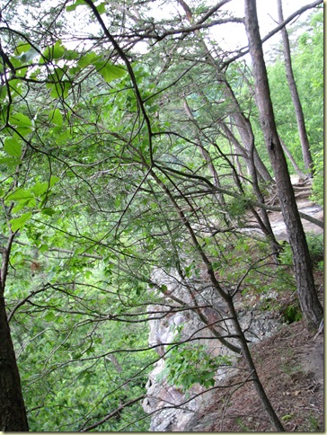 Hocking Hills around the camp site 2010 071