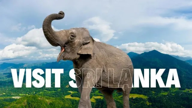 Best Time to Visit Sri Lanka