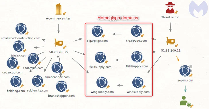 Evasive Credit Card Skimmers Using Homograph Domains and Infected Favicon