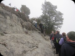 IMG_4656