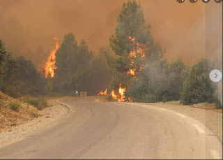 غابات عين ميمون ببلدية طامزة تحترق
