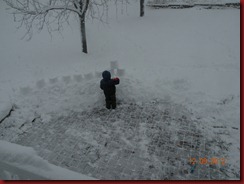 DSCN0004