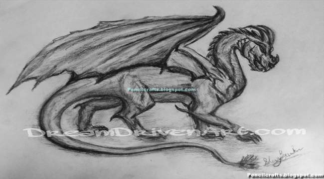 Dragon Tattoo Pencil Drawings