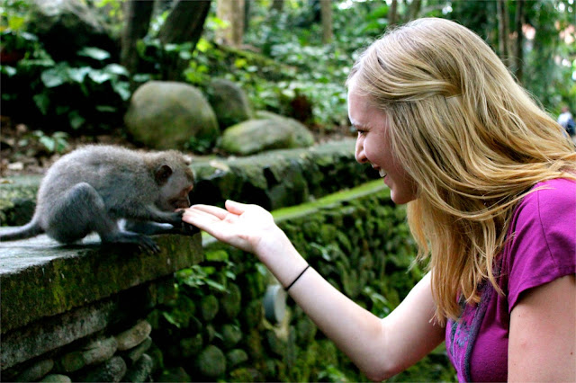 monkey sanctuary ubud bali