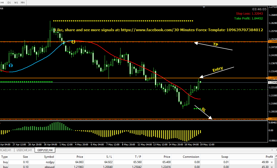 binary option in bull market analysis