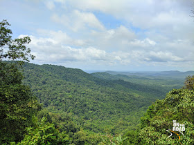 The panoramic green view of Devimane Ghat during the monsoons