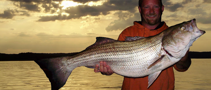 Striped Bass fishing Report