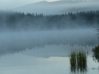 Lac Piché - Forêt Montmorency - Québec - Canada