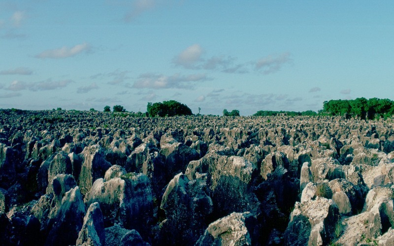 nauru-phosphate-mining-5
