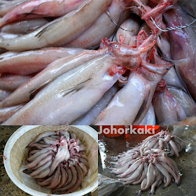 Pontian-Wholesale-Fish-Market