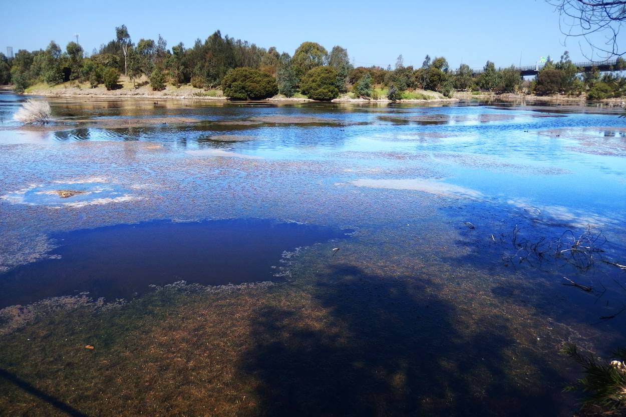 Westgate Park Saltwater Lakes