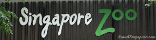  Singapore Zoo