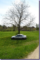 mini_DSC07554