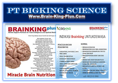 Brainking Plus