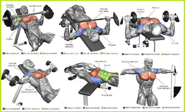best chest workout routine  best chest workout for mass  chest workout plan  chest exercises at home  chest workout bodybuilding  chest exercises without weights  chest pullover  chest dip