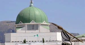 See List of the 46 Bills Nigeria Senate passed into law in 5 hours!