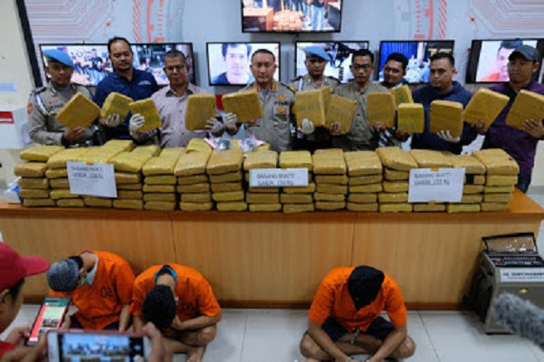   Under Cover Polresta Tangerang Berhasil, 150 Kg Ganja Asal Aceh Disita