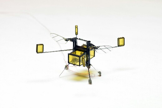 RoboBee Microrobot