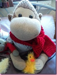 Knitted Chick egg cosy