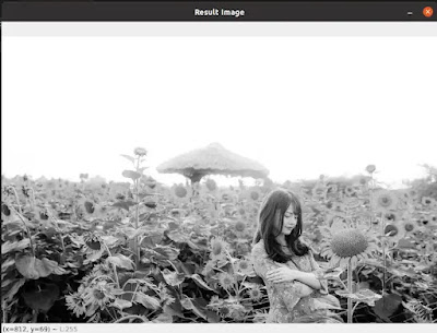 changing the color space of an image BGR to GRAY using opencv python