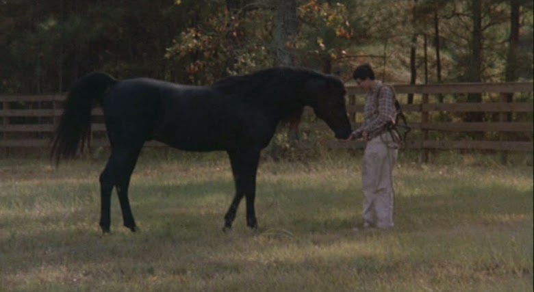 Como uña y carne 1983 online full hd 1080p latino