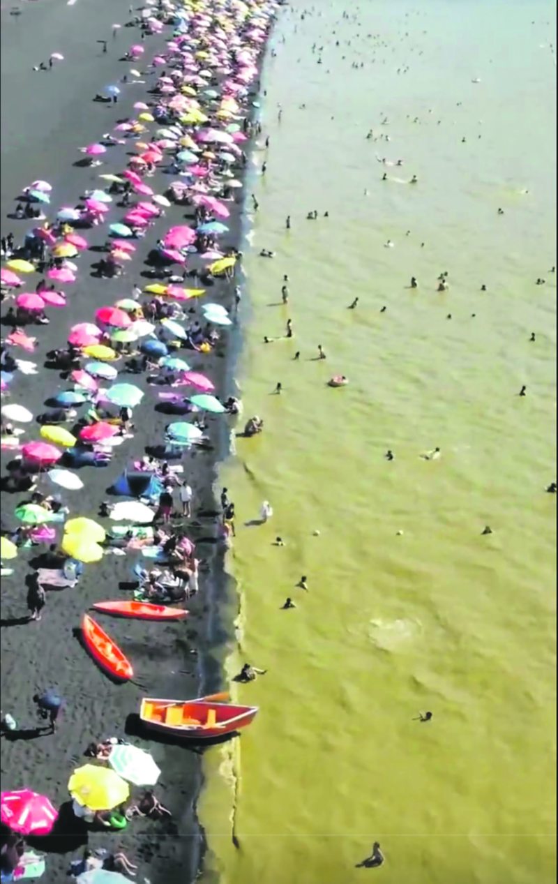 Seremi de Medio Ambiente explica por qué el agua del lago Villarrica se puso así de verde