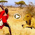 Man attack vs Lions