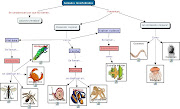 Etiquetas: ANIMALES INVERTEBRADOS