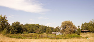 Dick's Pond and the Little Barn