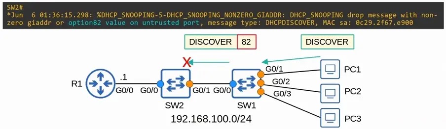 cisco switch dhcp snooping option 82 problem