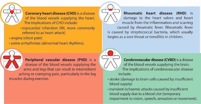 Cardiovascular Diseases