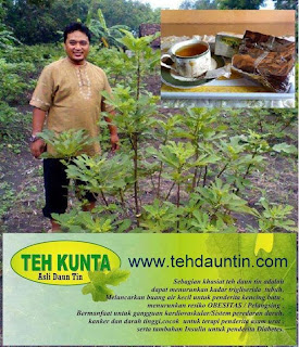 teh daun tin