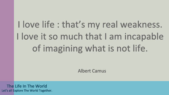 Top 12 Albert Camus Quotes. - the life in the world