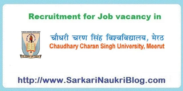 CCS University Meerut naukri vacancy recruitment