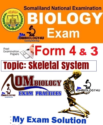 Skeletal system online quiz for high school students. Ombiology4u online exams, Ahmed Omaar