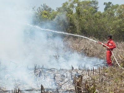 kebakaran hutan 