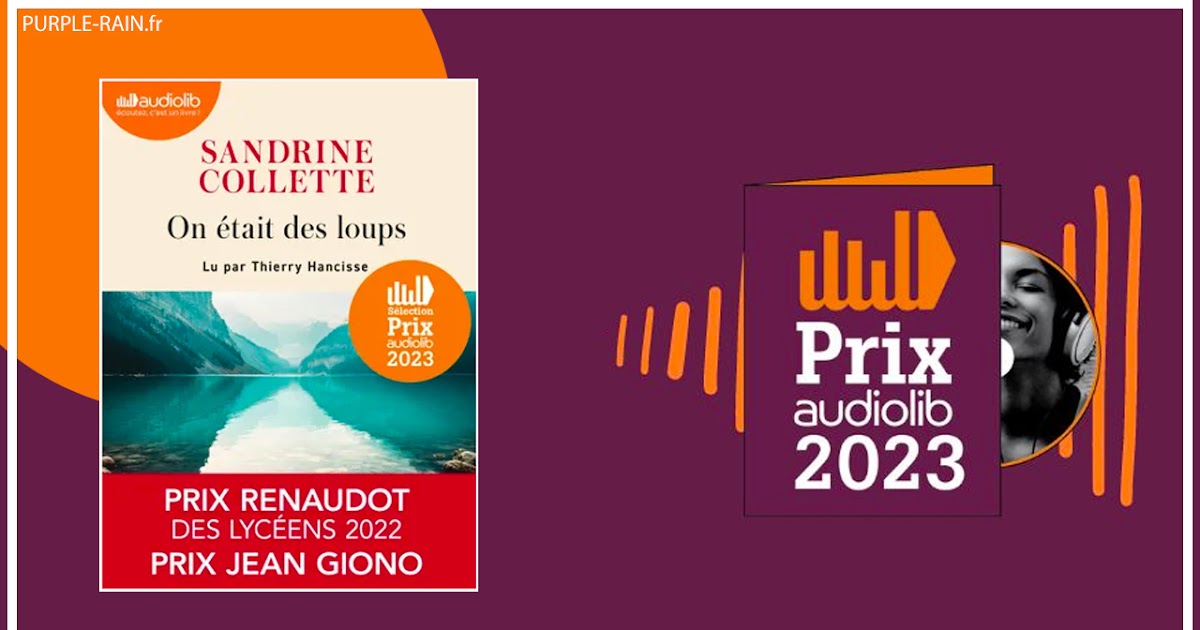 Chroniques Lecture Thriller • Polar: Livre Audio : On était des