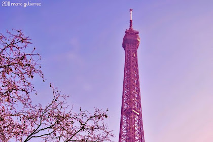 Eiffel Tower Wallpaper For Iphone