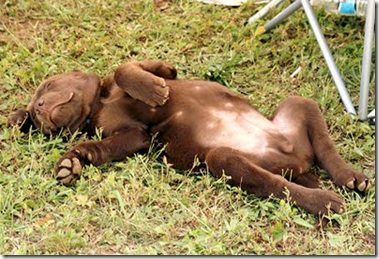 lazy days of summer