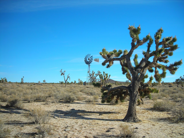 Mojave National Preserve