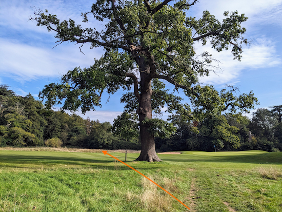 Keep left of the tree and continue heading SE on Hatfield footpath 65