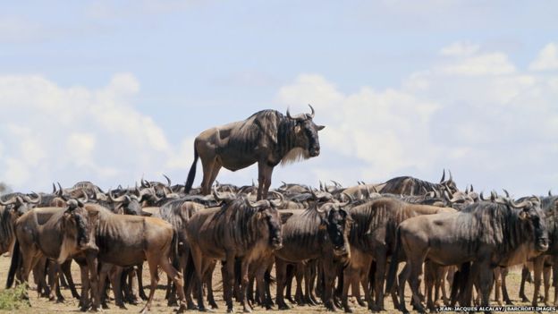 UTALII WAANZA KUPAA JUMUIYA YA MBARANG'ANDU, NAMTUMBO.