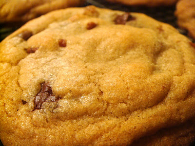 America's Test Kitchen Perfect Chocolate Chip Cookies